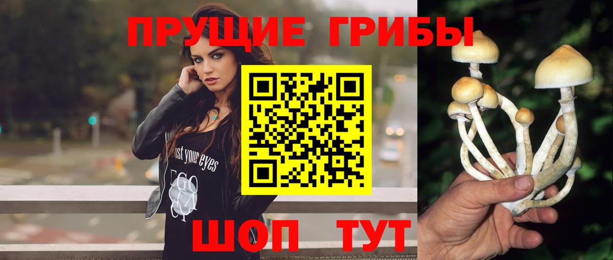 Галлюциногенные грибы Psilocybe  Вход с VPN  Глазов  Галлюциногенные грибы ЛСД 